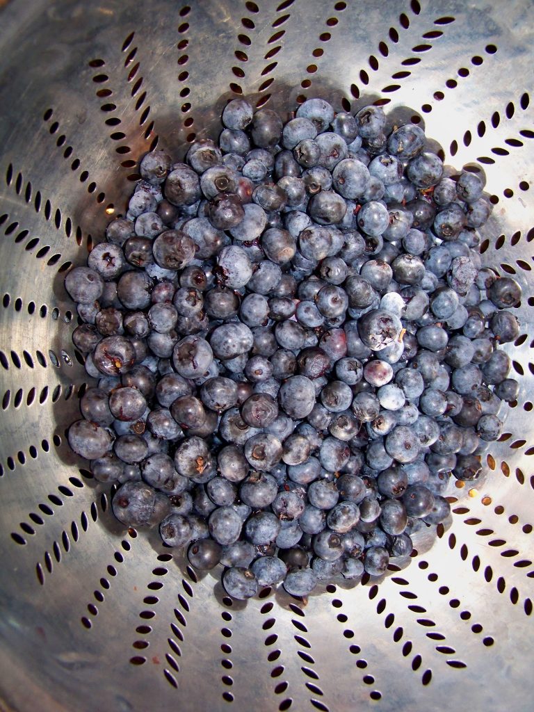 Berries and Avocado