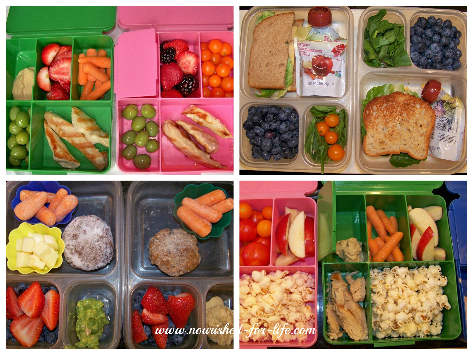 Healthy School Lunches in Ten Minutes a Day - Kristi Cirignano